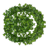 Lierre suspendu à feuilles vertes