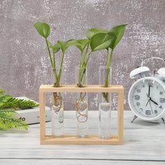 Test Tube Vase