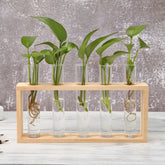 Test Tube Vase
