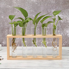 Test Tube Vase