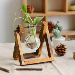 Ästhetische Terrarienvase