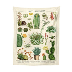 Tapisserie de plantes succulentes