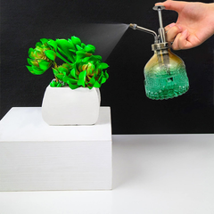 Vaporisateur de plantes vintage