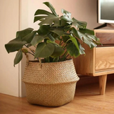 Rattan Plant Holder