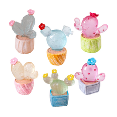 Succulentes lumineuses du jardin des fées