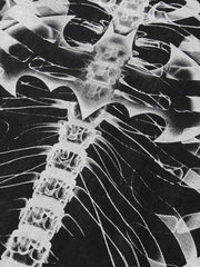 Lockeres, gewaschenes T-Shirt mit geripptem Retro-Print