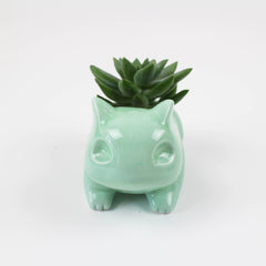 Pot de fleurs kawaii