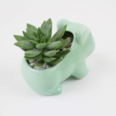 Pot de fleurs kawaii