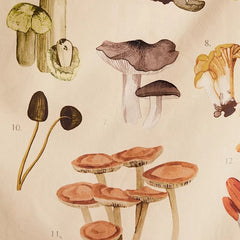 Tapisserie de champignons vénéneux