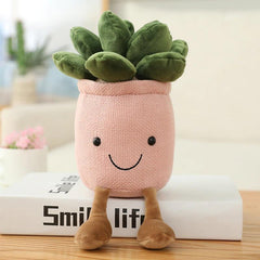 Peluches succulentes en pot