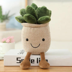 Peluches succulentes en pot