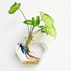 Vase à fleurs mural en verre