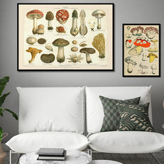 Affiches sur toile vintage de champignons
