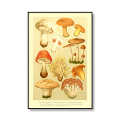 Affiches sur toile vintage de champignons