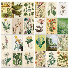 Kit de collage mural vintage à base de plantes