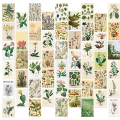 Kit de collage mural vintage à base de plantes