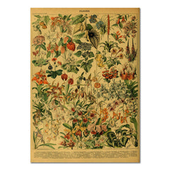 Blumen Vintage Kraftpapier Poster