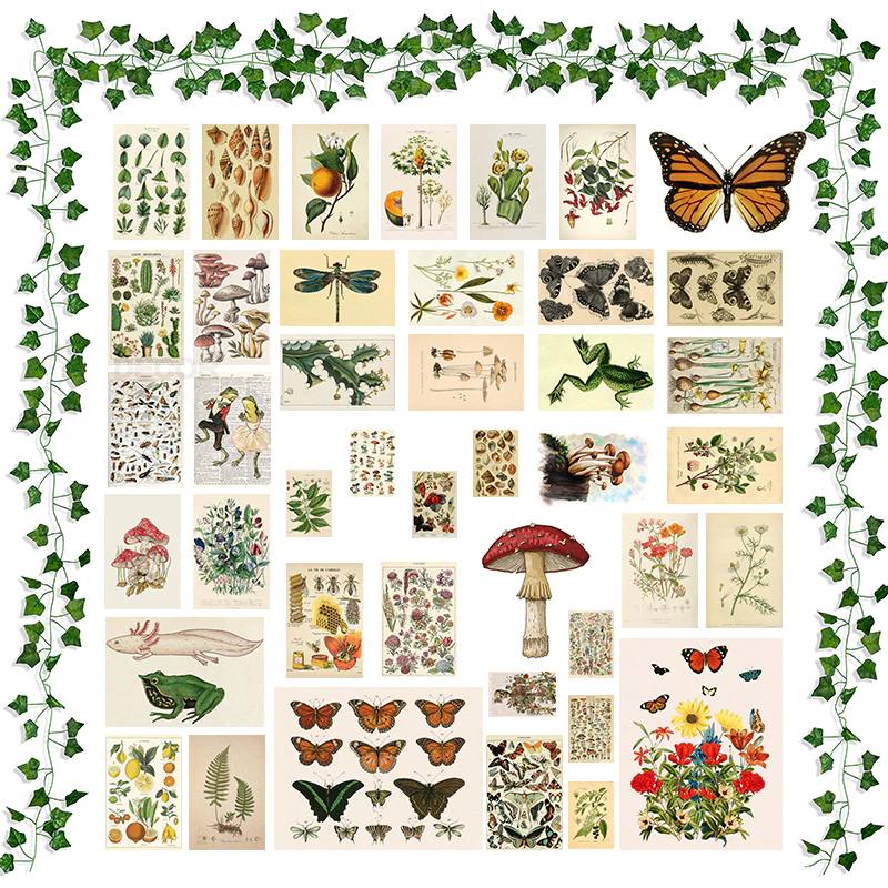 DIY Cottagecore Wall Collage Kit – Oitoy