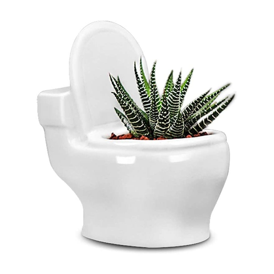 Jardinière en forme de toilettes « FloraFlush »