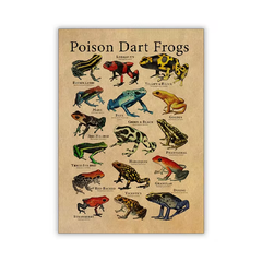 Vintage Frog Poster