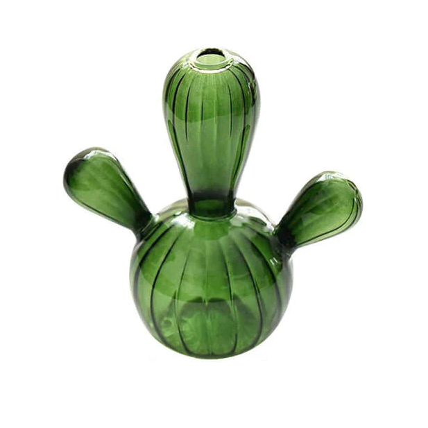 Cactus Transparent Vase