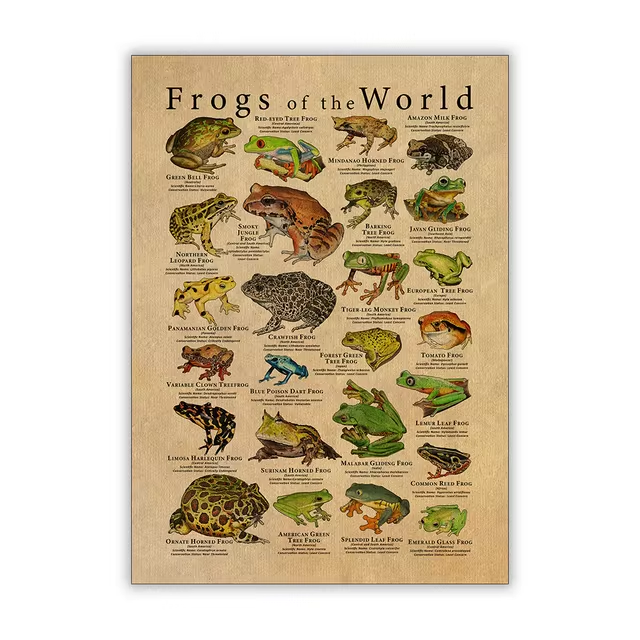 Vintage Frog Poster