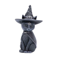 Black Magic Cat