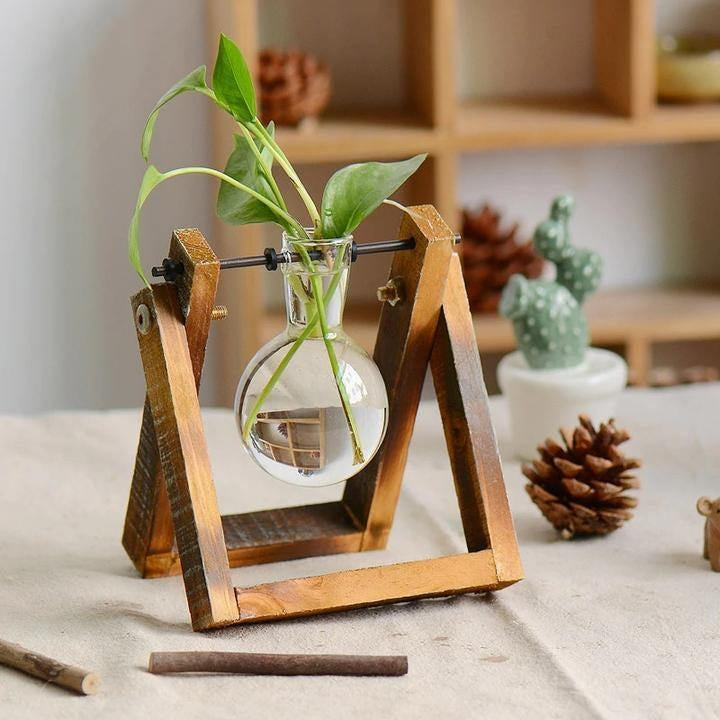 Aesthetic Terrarium Vase