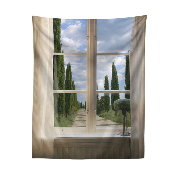 Aesthetic View Tapestry