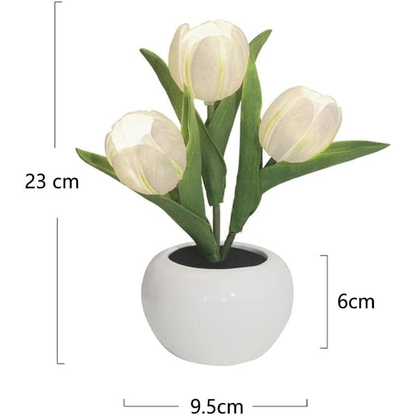 Cute Tulip Night Light