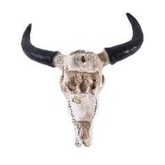 Animal Skull Wall Decor