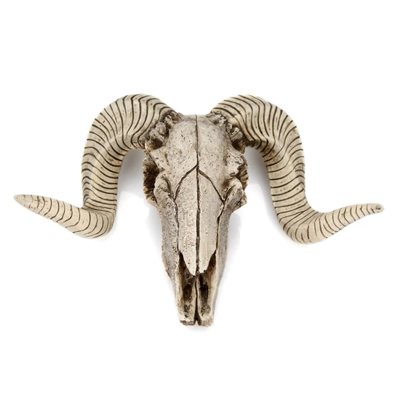 Animal Skull Wall Decor