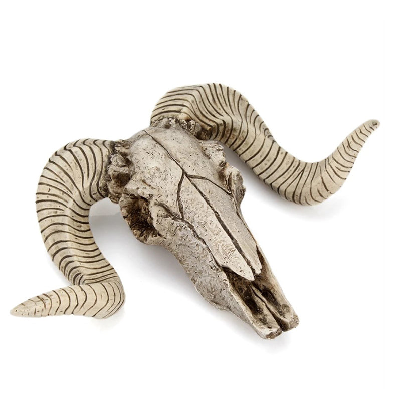 Animal Skull Wall Decor