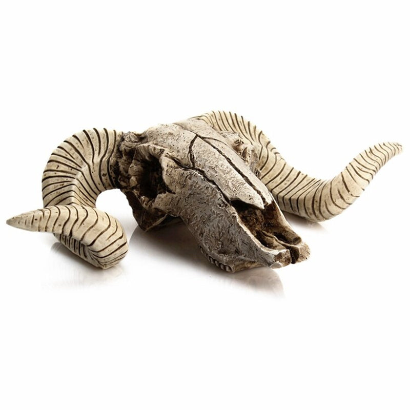 Animal Skull Wall Decor