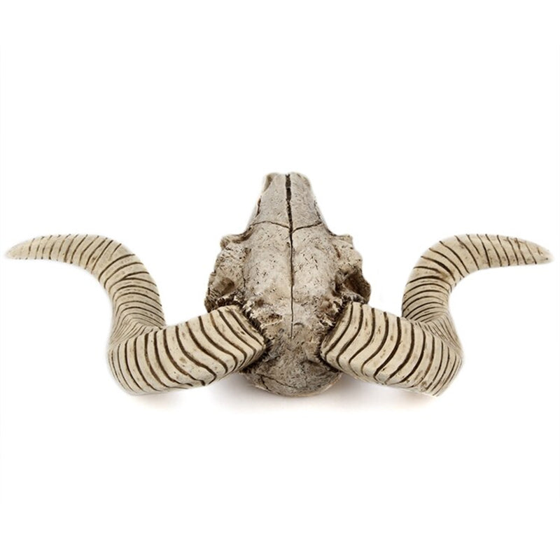 Animal Skull Wall Decor