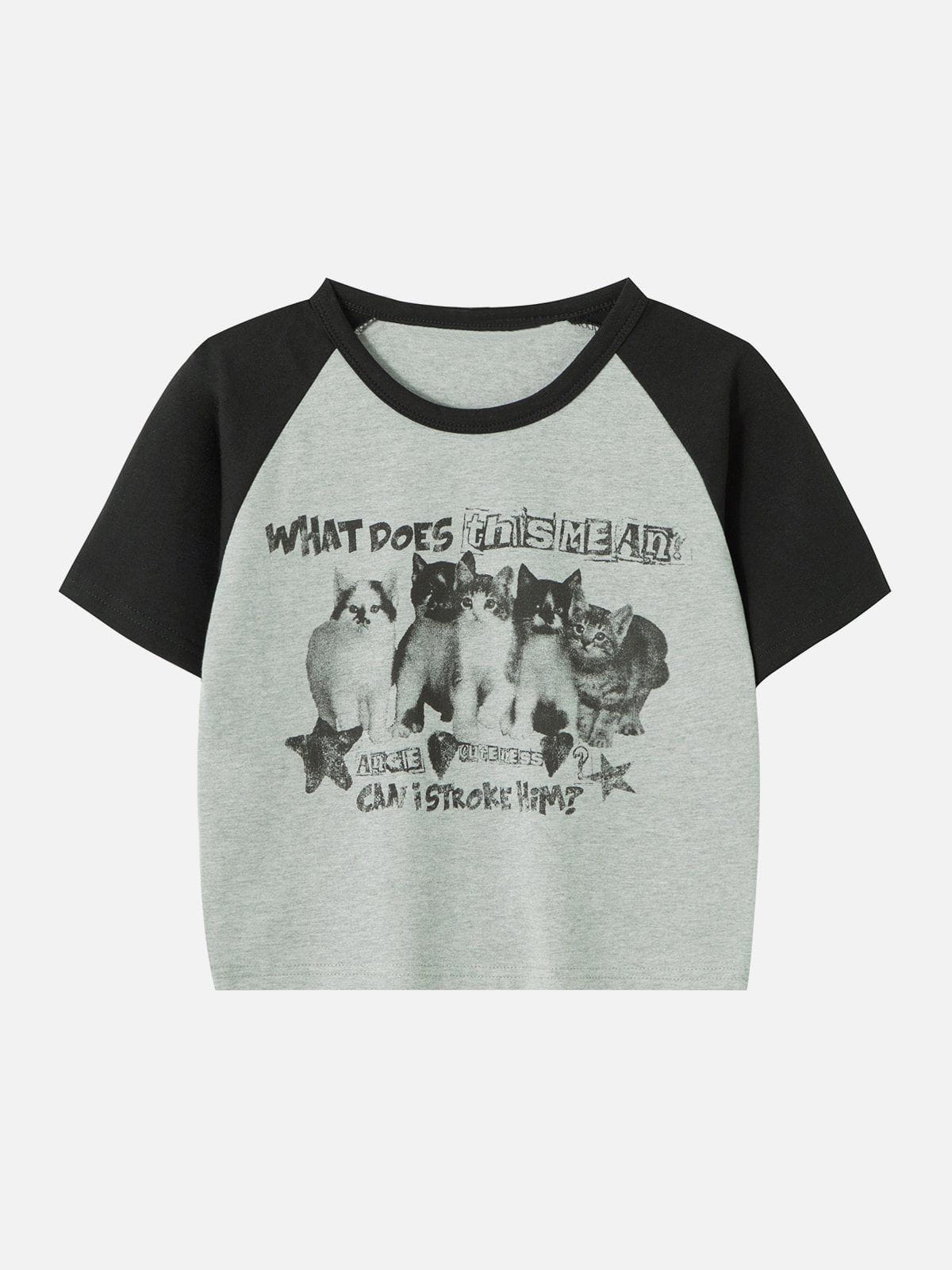 Cat Print Patchwork Regular Tee