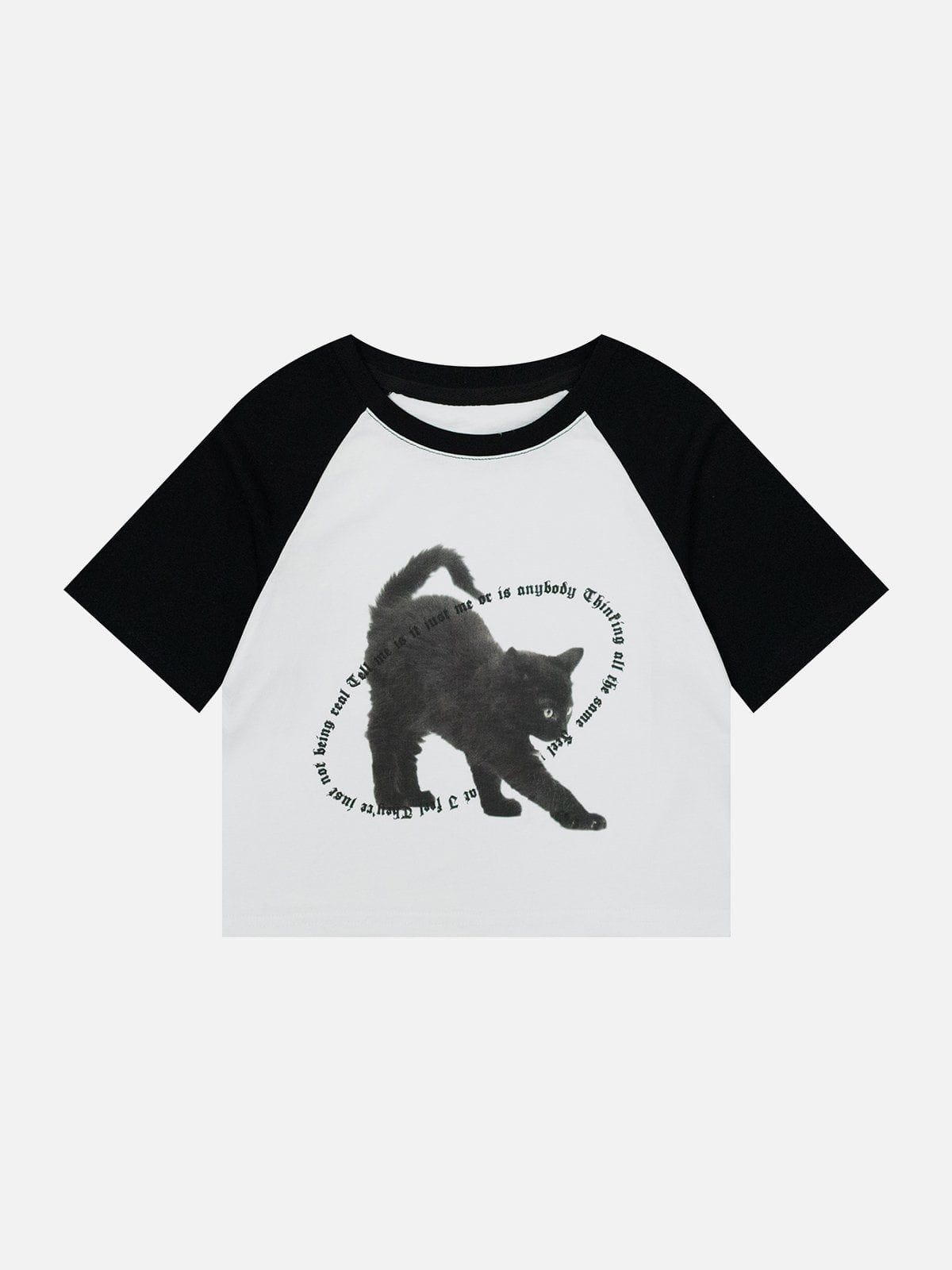 Cat Print Patchwork Tee