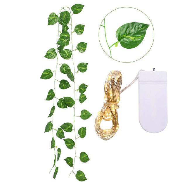Single Vine String Light Set – Oitoy