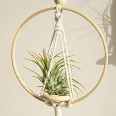 Macrame Wooden Circle Plant Hanger