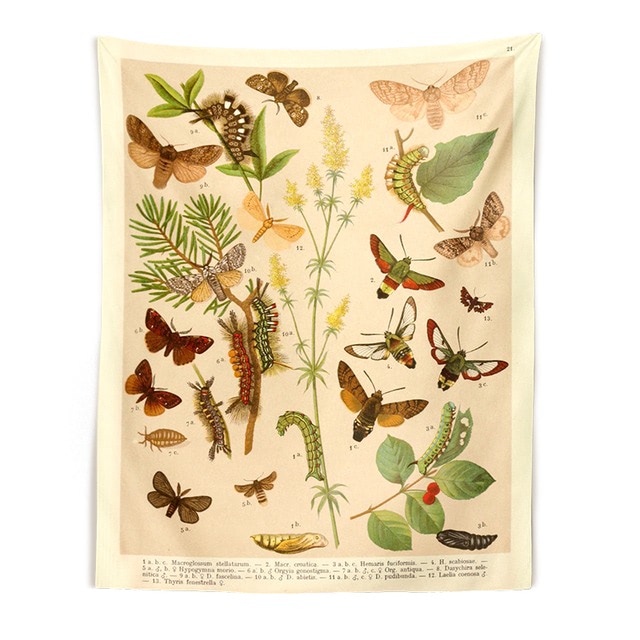 Butterflies Species Botanical Tapestry