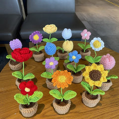 Crochet Potted Mini Flowers