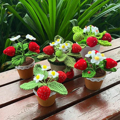 Crochet Potted Strawberry Bush