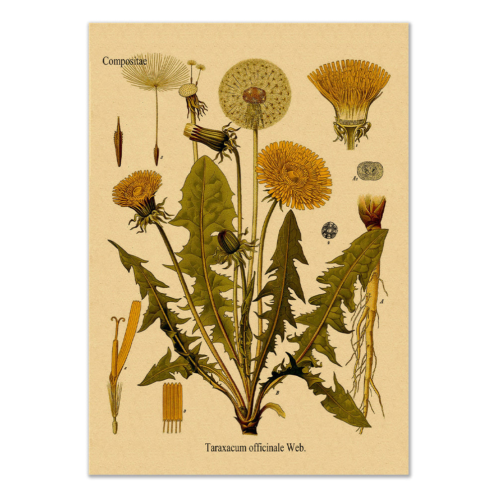 Dandelion Kraft Paper Poster