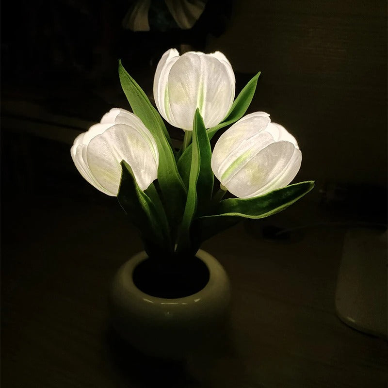 Mini Potted Tulip LED Night Light