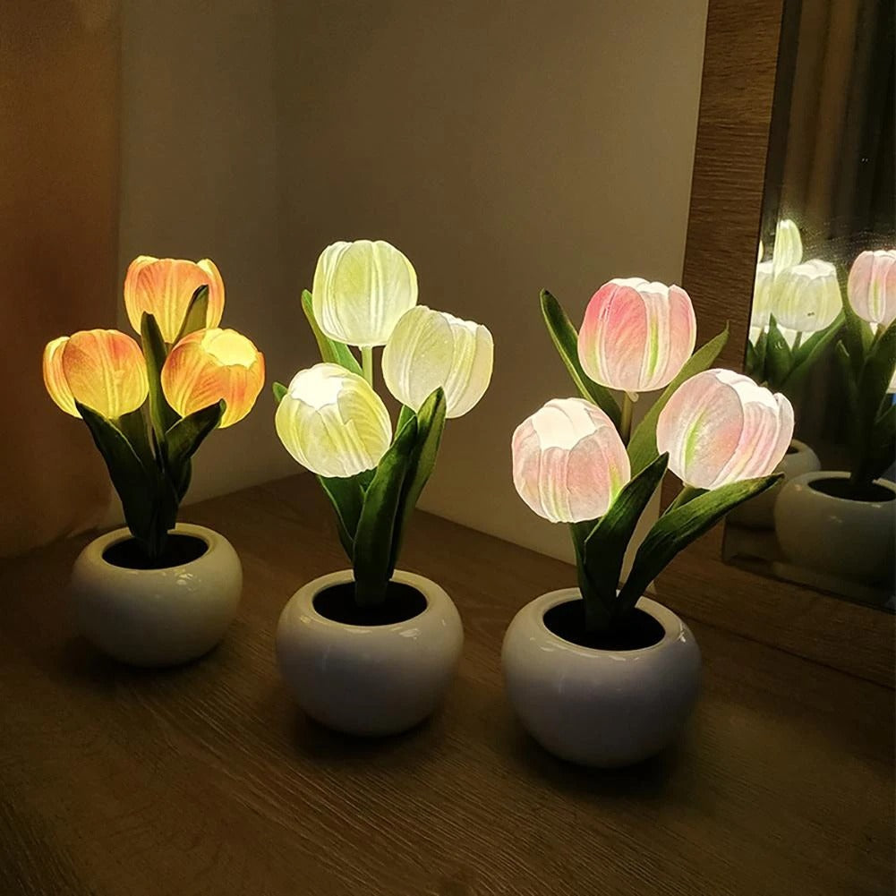 Mini Potted Tulip LED Night Light