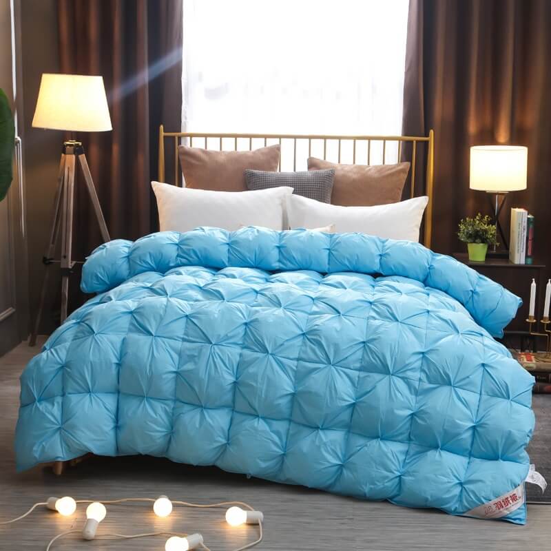 Couette en duvet d'oie