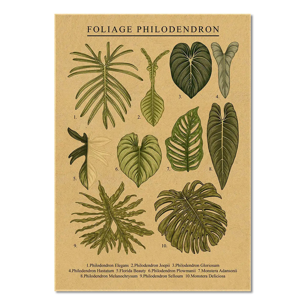 Monstera Leaves Kraft Paper Poster