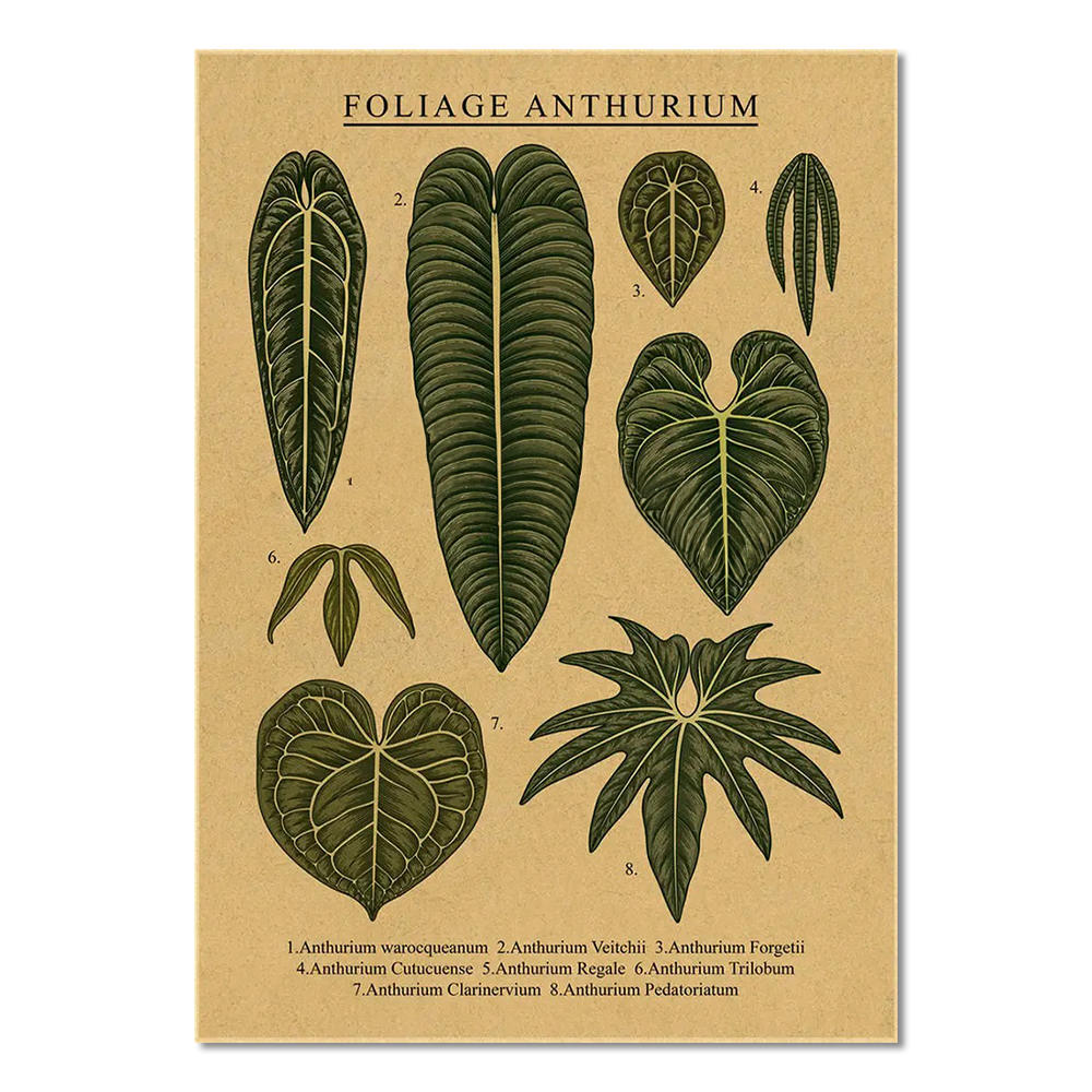 Laceleaf Leaves Kraft Paper Poster