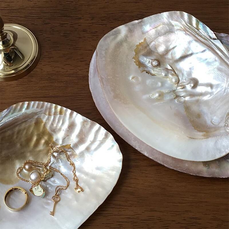 Natural Seashell Jewelry Tray