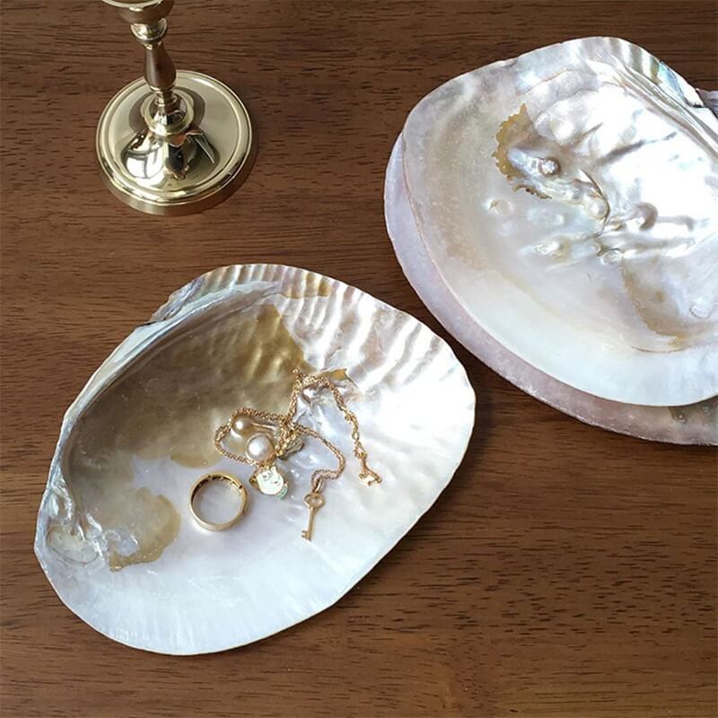 Natural Seashell Jewelry Tray